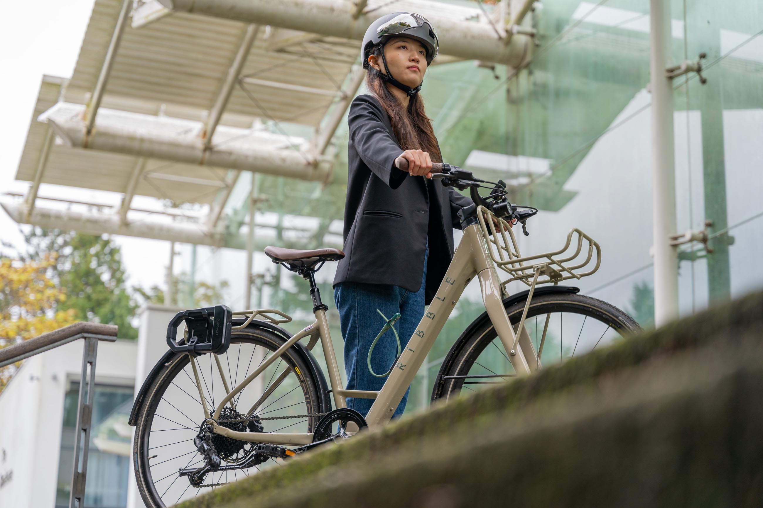 Hiplok D1000 + BR1000 - | Hiplok