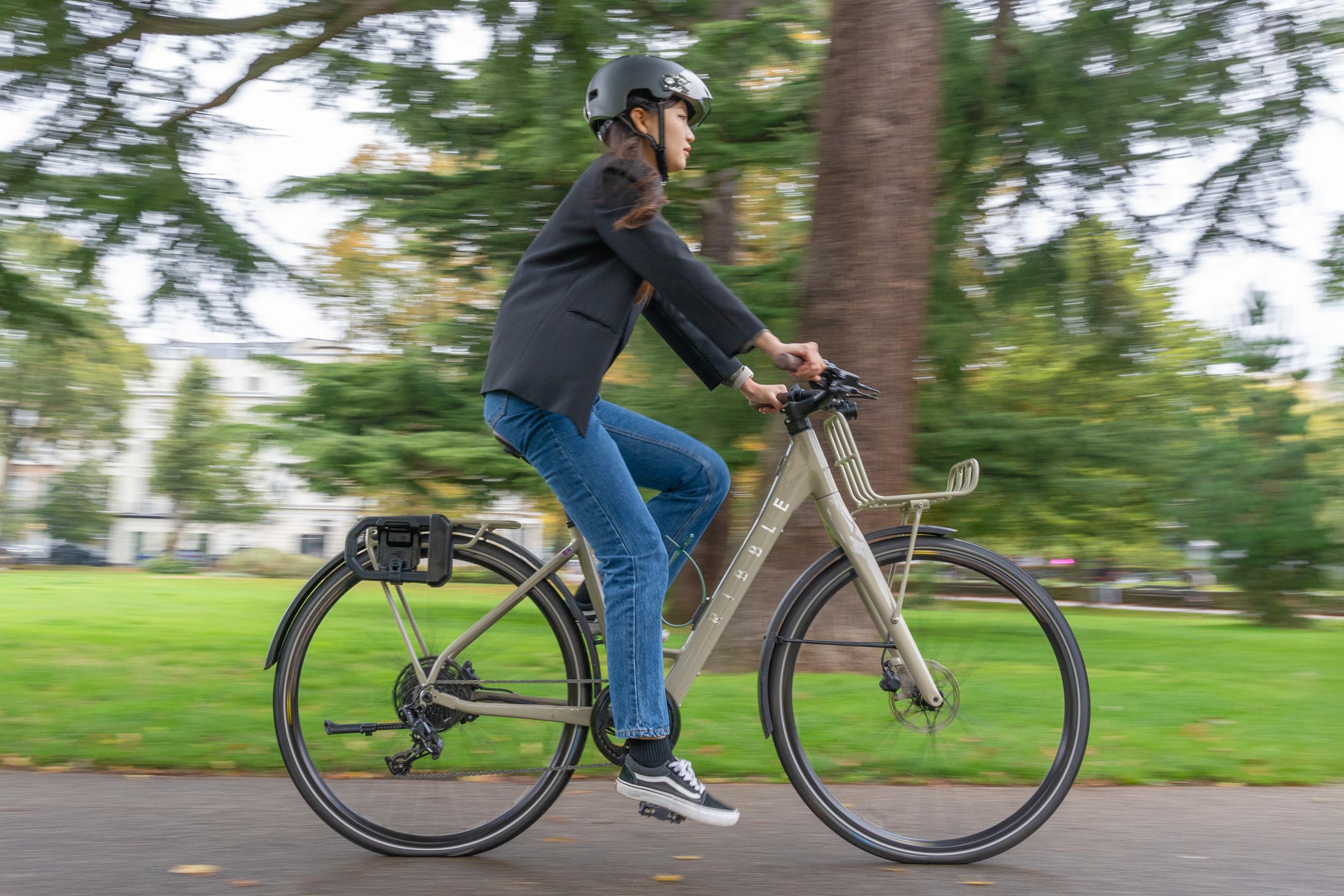 Hiplok D1000 + BR1000  -   |  Hiplok