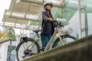 Hiplok D1000 + BR1000  -   |  Hiplok