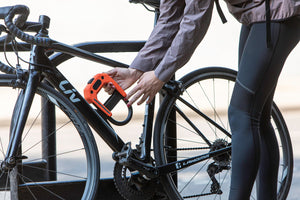 Hiplok DX Frame Bracket and D Lock for Bike